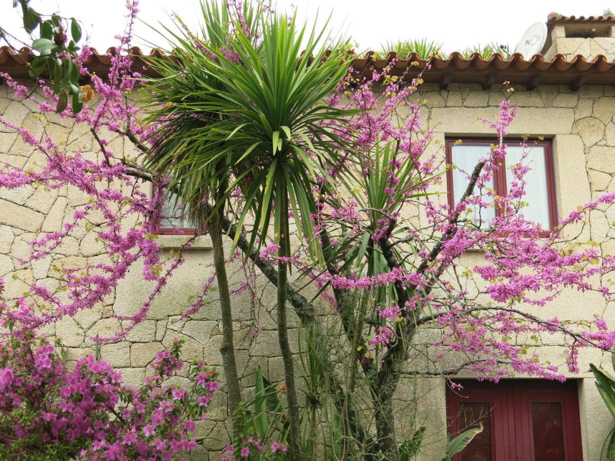 Casa Dos Tinocos Villa Braga Exterior photo